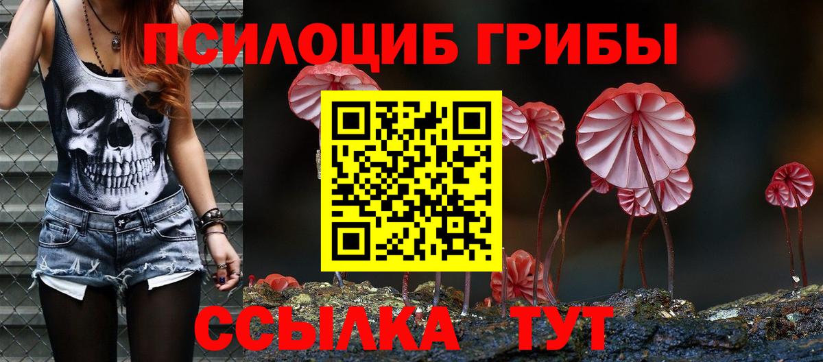Кузнецк  цена наркотик  Вход с VPN  Псилоцибиновые грибы мухоморы 